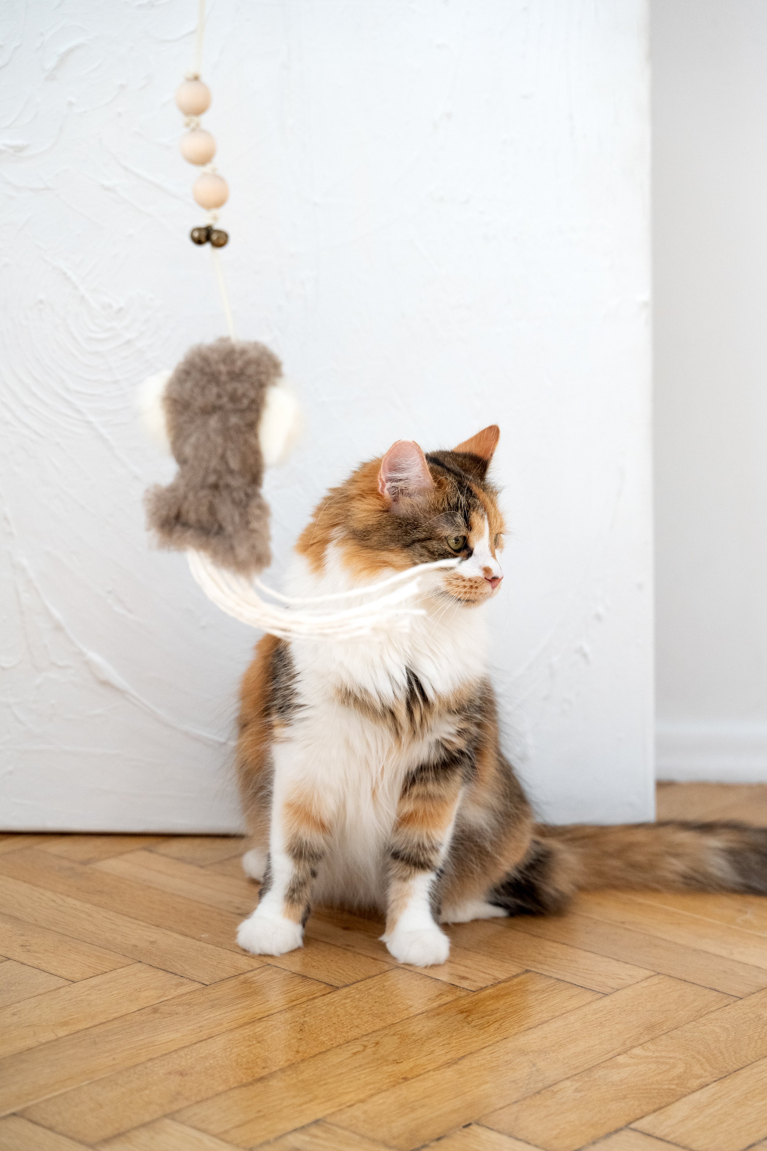 Natural Sheepskin Cat Toy: Squid-0