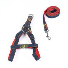 The Hands-Free Dog Leash-1