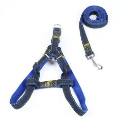 The Hands-Free Dog Leash-2